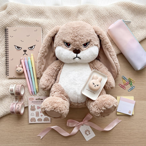Kawaii Gift Ideas for Teen Girls