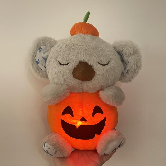How to Photograph Plushies for the Perfect Fall Aesthetic