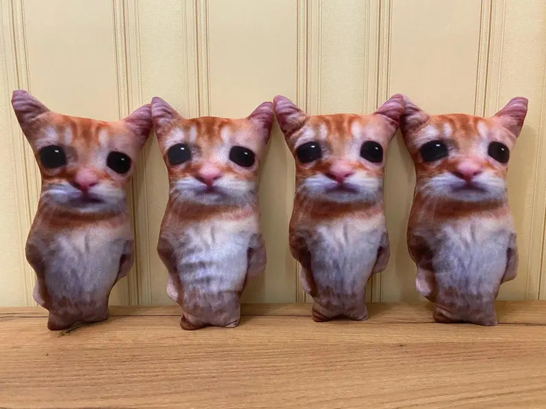 El gato army