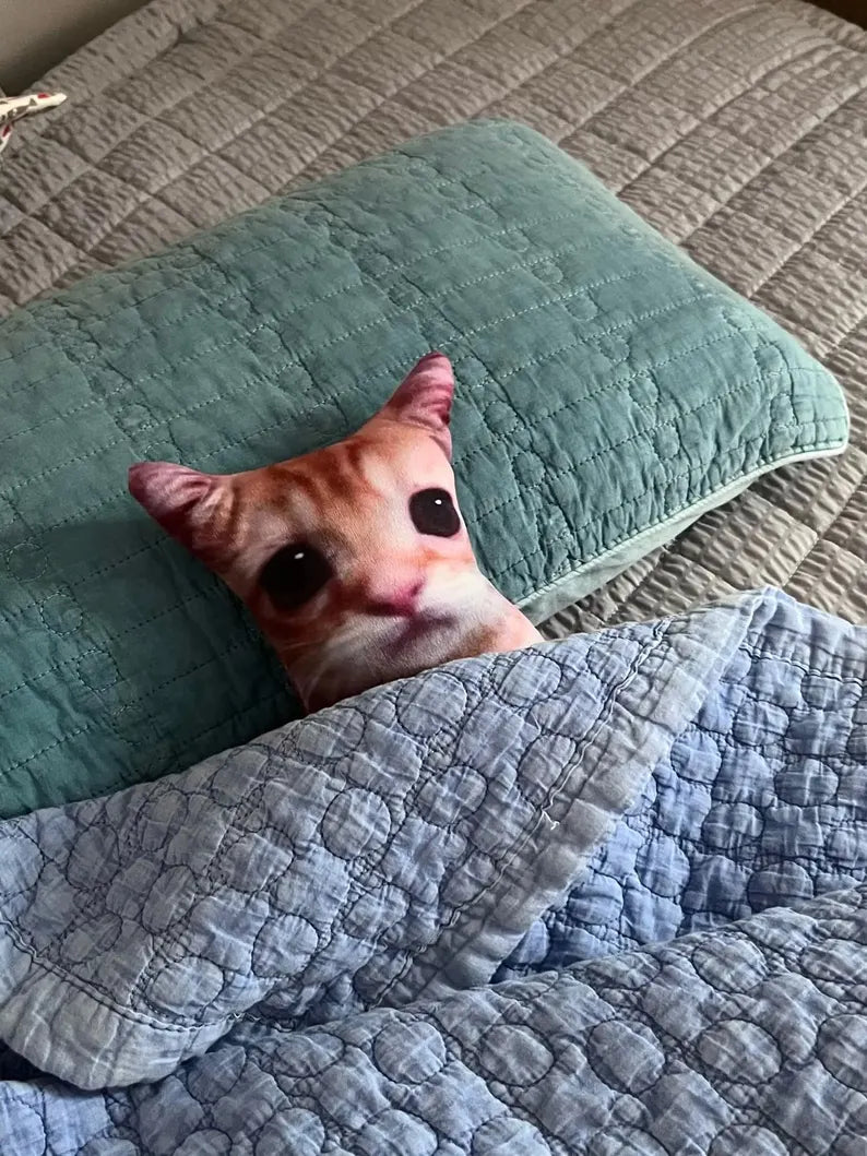 El Gato sleeping in bed