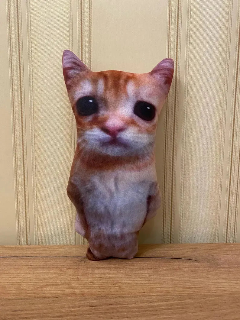 El gato the meme