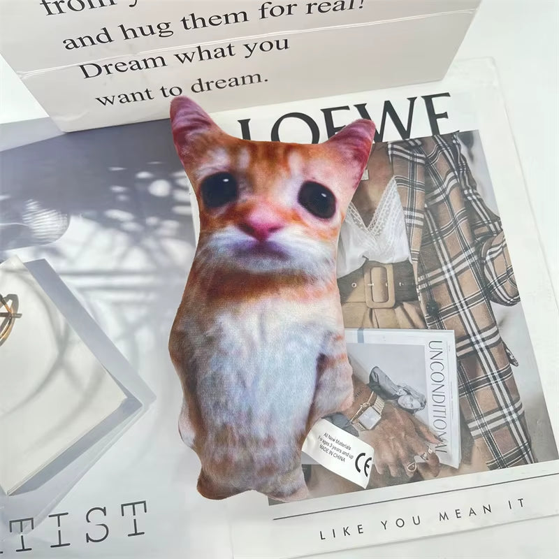 El Gato Cat Plush being loveable