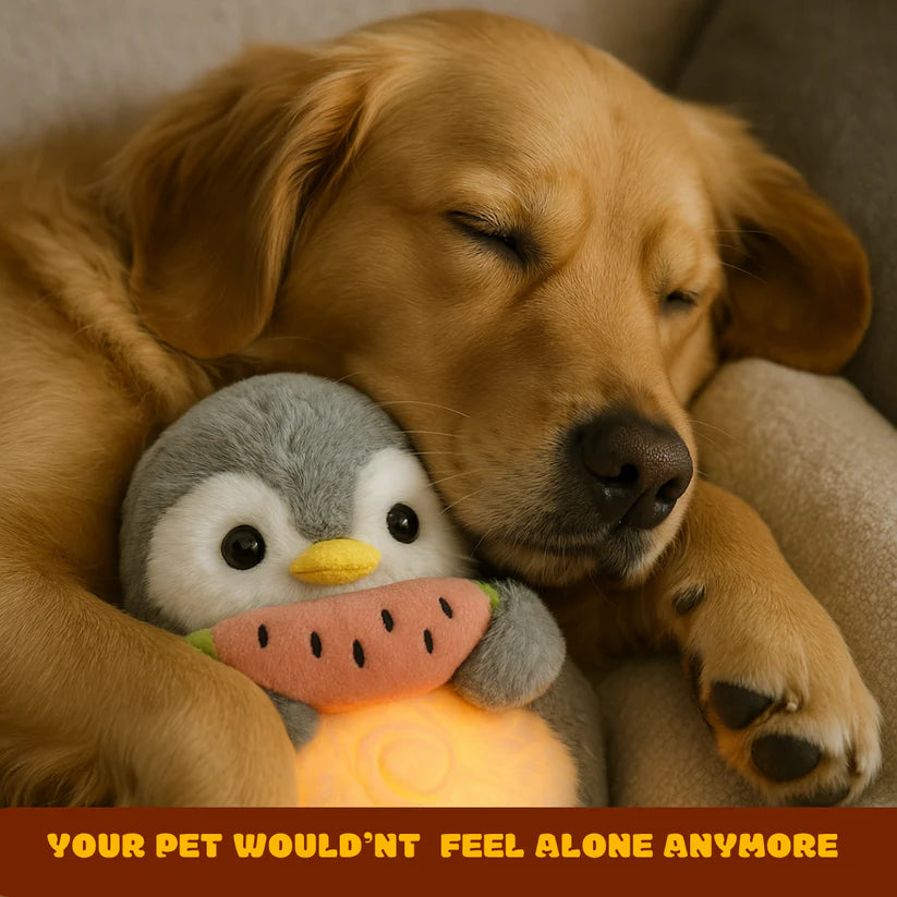 Golden Labrador peacefully napping with the Breathing Penguin Plush—comfort for pets and people alike.