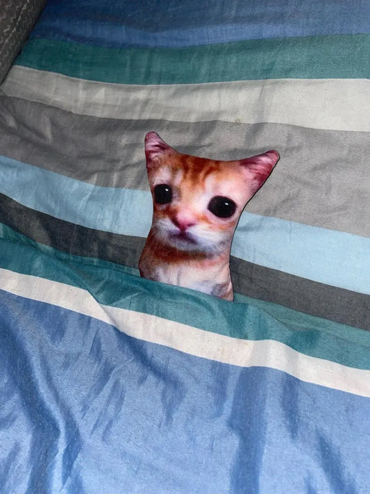 El Gato Cat Plush meme in bed