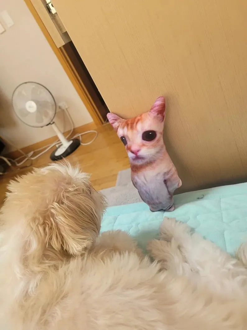el gato and doggo having a staring contest