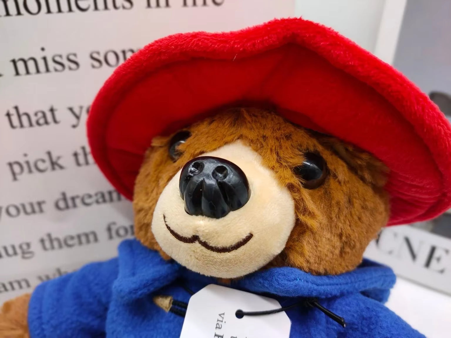 29CM Britain Paddington Bear Plush Dolls Kawaii Small Bear Stuffed Dolls High Quality Children Christmas Birthday Gifts