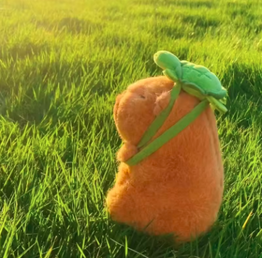 Capybara plush toy used as cozy room decoration